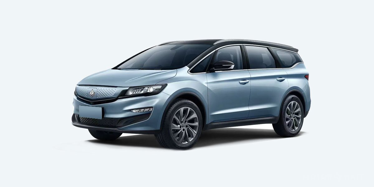 Livan Maple 80v price