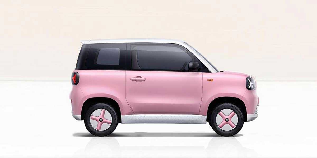 Zhidou Rainbow Video Overview