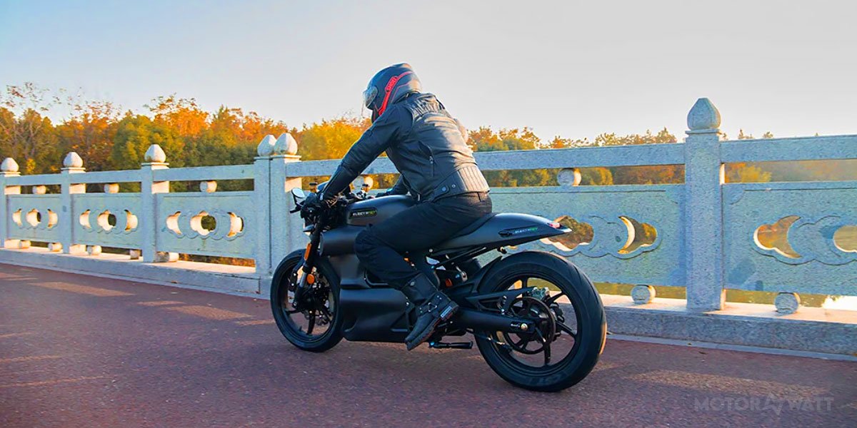 ElectriPet Hipee Video Overview