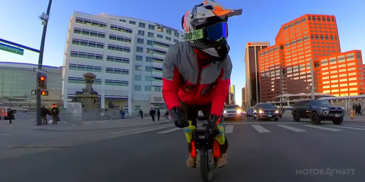 LeaperKim Lynx Veteran Video Overview