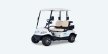 Tri Electric TE A2 2 Seater Golf Cart Review