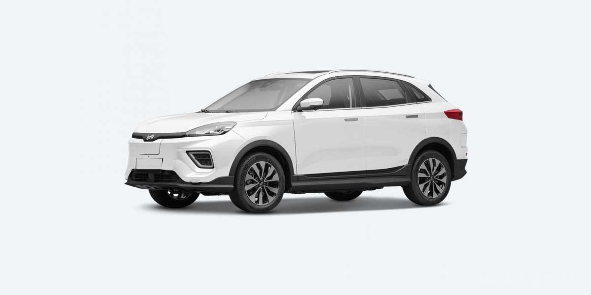 Weltmeister EX5 price