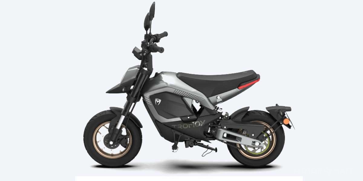 TROMOX MINO Video Overview