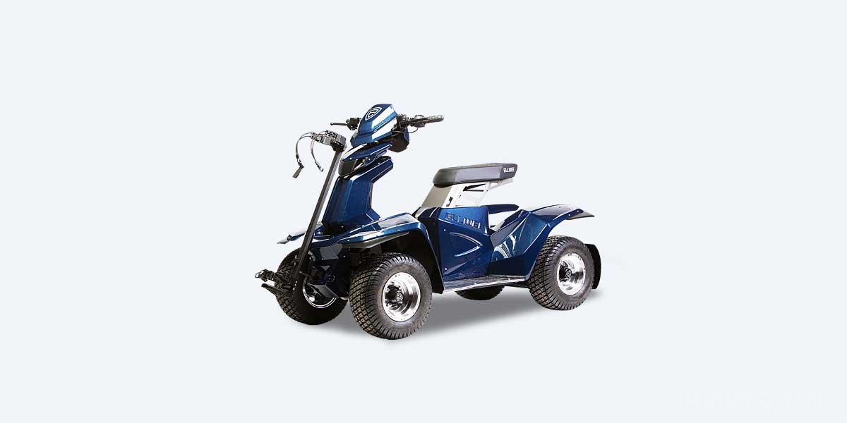 ELLWEE Easy Golf price