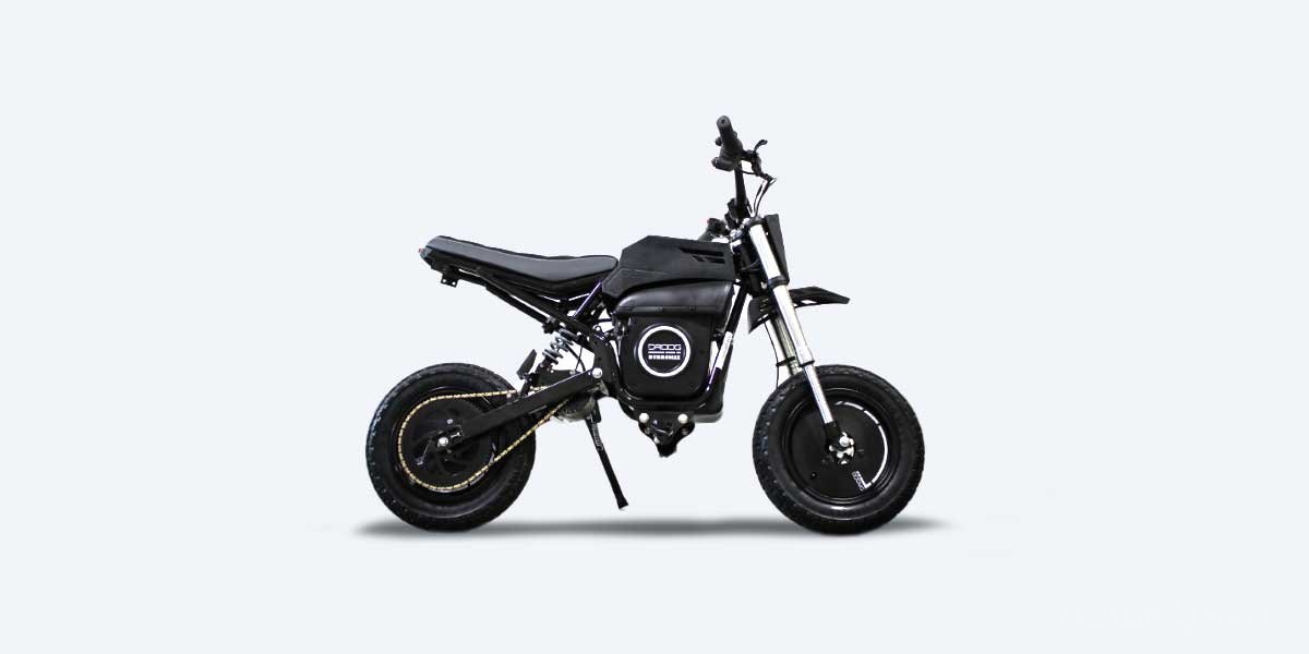 Droog X Burromax TT1600R E Bike price