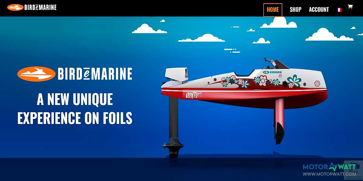 site EV MANUFACTURER SITE Bird e marine